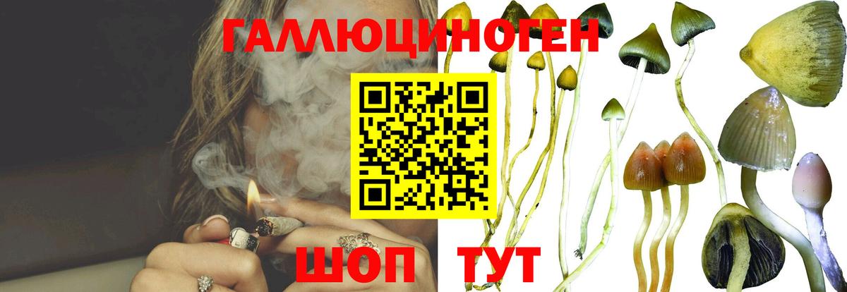Псилоцибиновые грибы GOLDEN TEACHER Лысьва